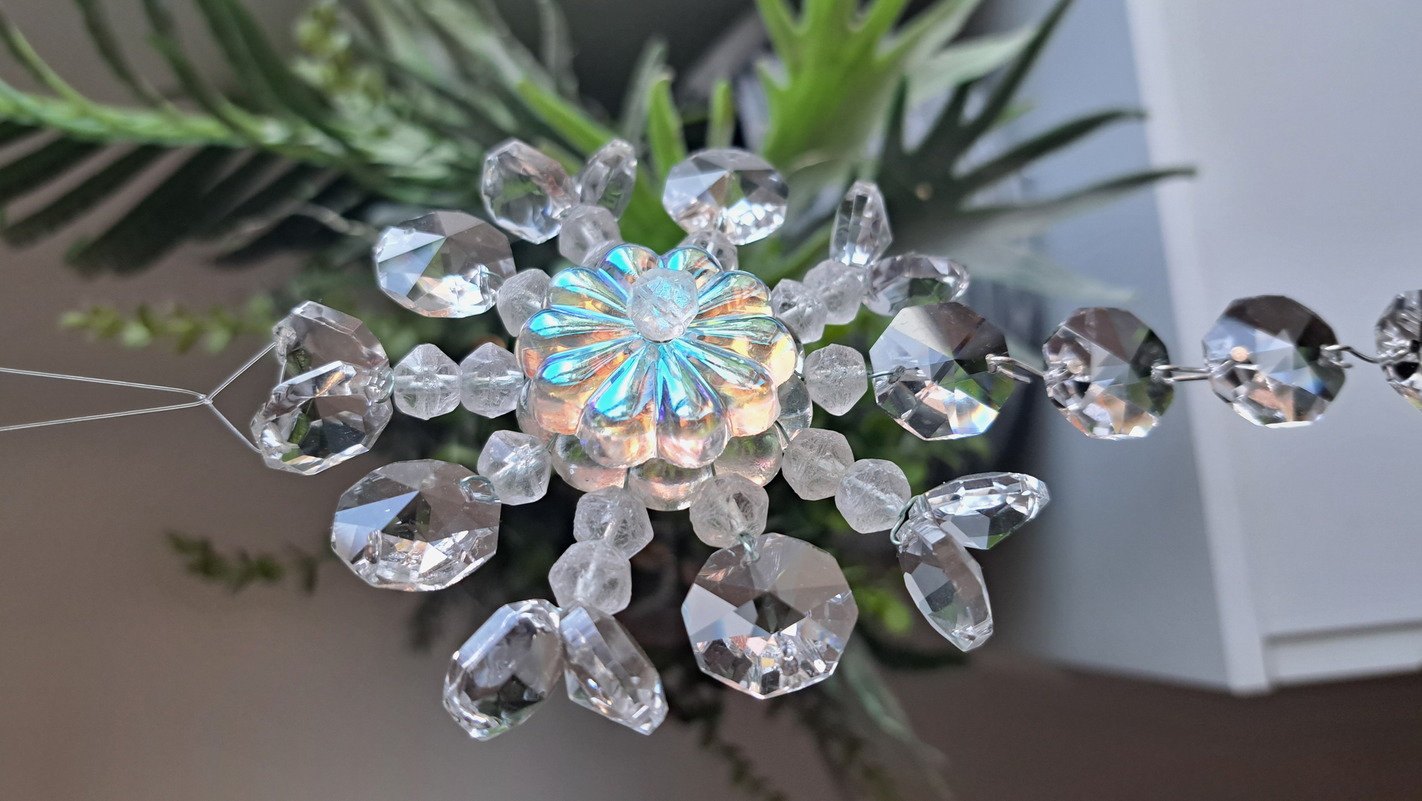 Mandalka ledová Ice look